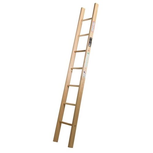 Ladder A simple upright wooden ladder, leaning against nothing.