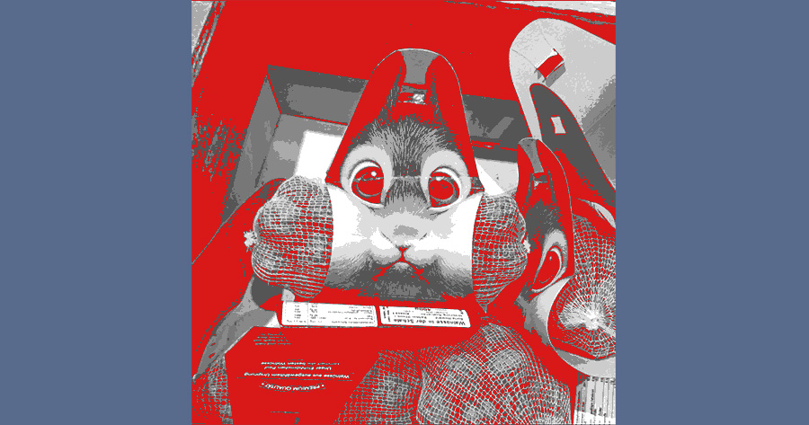 Creative walnut packaging in the shape of a squirrel's head